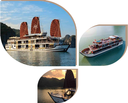 cruise in halong