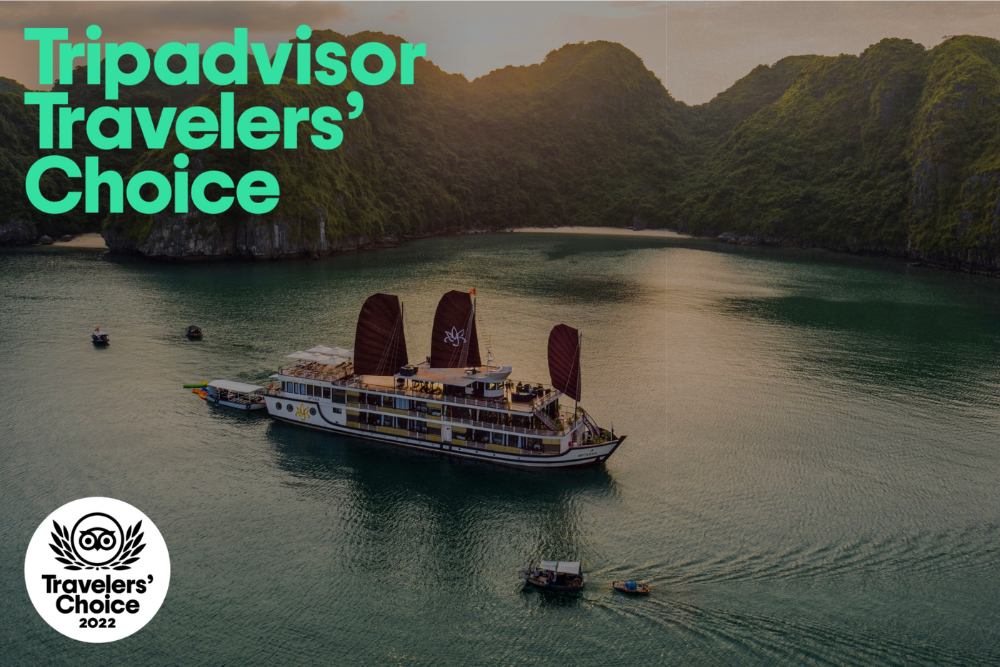 TripAdvisor Travellers’ Choice Award 2022