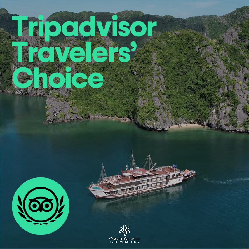 2023 TripAdvisor Travellers’ Choice Award
